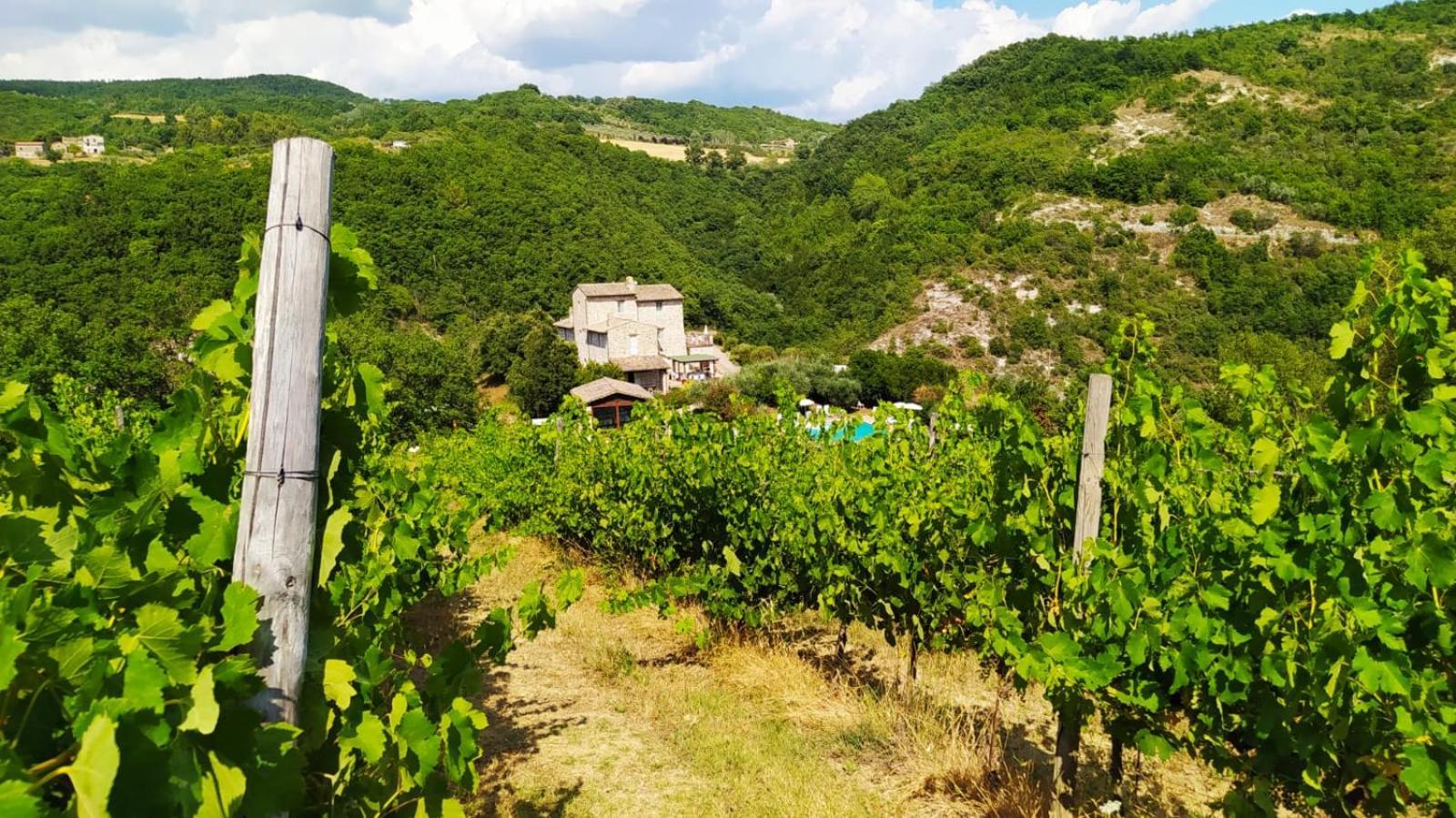 Re Artu Assisi Country Lifestyle Aparthotel ภายนอก รูปภาพ