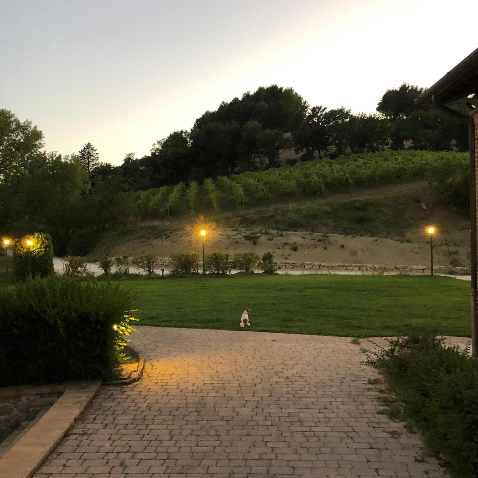 Re Artu Assisi Country Lifestyle Aparthotel ภายนอก รูปภาพ